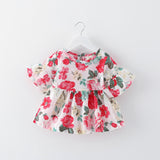 baby girl clothes Princess Dress