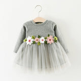 baby girl clothes Princess Dress