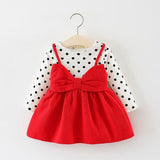 baby girl clothes Princess Dress
