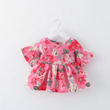 baby girl clothes Princess Dress
