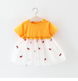 Baby Girls dress